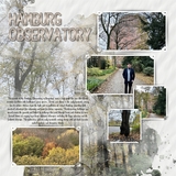 Artistic License Painterly Projects