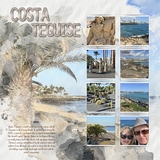 Artistic License Painterly Projects