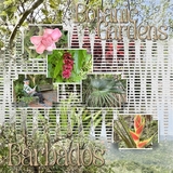 Seatrout Scraps Treasure Trove 01