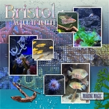 Seatrout Scraps Treasure Trove 01