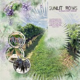 Easy Mask Mats Circle 02