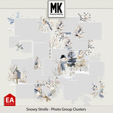 Snowy Strolls - Photo Group Clusters