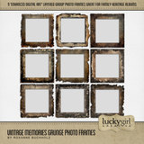 Vintage Memories Grunge Photo Frames