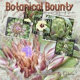 PatternMania - Spring Organics