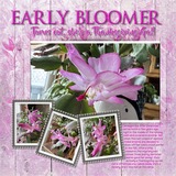 FrameMania - By the Book