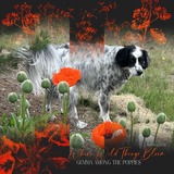 DesignMaster - Background Builders 02