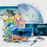 Out of the Blue Watercolor Papers Bundle