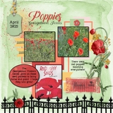 Blooming Lovely - Discounted Bundle