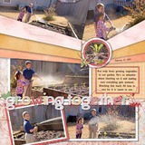 Blooming Lovely - Discounted Bundle