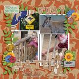 Aussie Spirit Enhanced Photo Clusters