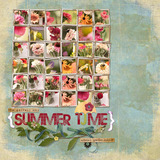 Botanicals 4 Paper Pak