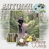 Artistic License Segmented