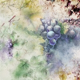 DesignMaster - Watercolor BlenderMania