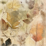 DesignMaster - Watercolor BlenderMania