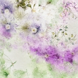 DesignMaster - Watercolor BlenderMania