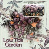 Painted Chevron Papers