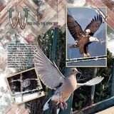 Painted Chevron Papers