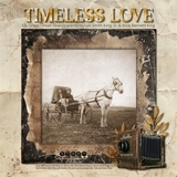 Vintage Memories Grunge Photo Frames