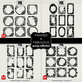 Framed & Fabulous - Spring Collection