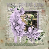 Treasures of The Heart Mega Bundle