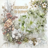 Clustered Border Background Set 7