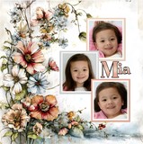 Clustered Border Background Set 7