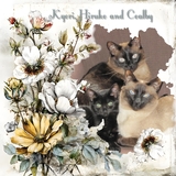 Clustered Border Background Set 7