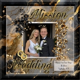 Fluid Art Black & Gold Papers