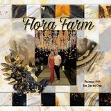 Black & Gold Stardust