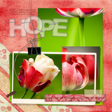 Beautiful Soul Add-on Collection