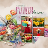 The Netherlands Watercolor Bundle