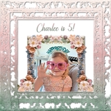 Quick Corners - Spring