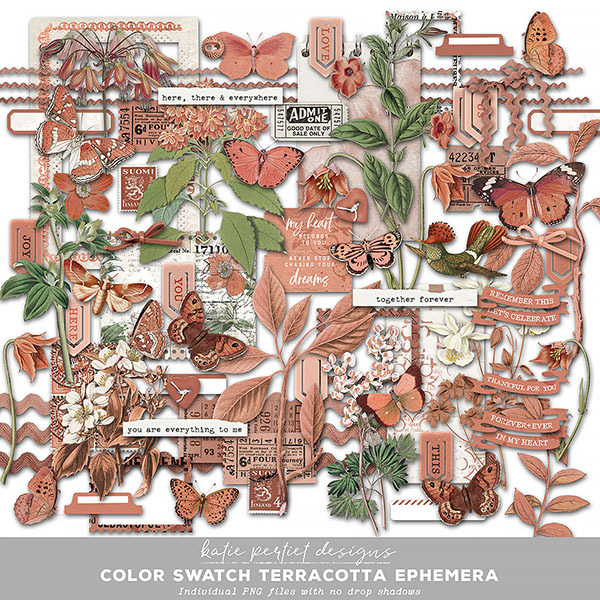 Color Swatch Terracotta Ephemera