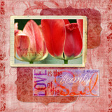 Simply Love Paper Pak