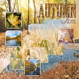 Artistic License Template Trio 04