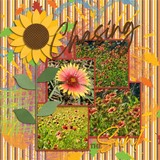 Autumn Silhouette Enhanced Photo Clusters