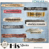 His Story Bundle