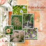 Everything Layers Set1 - Simple Pages,Meaningful Stories