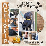 Everything Layers Set1 - Simple Pages,Meaningful Stories