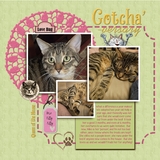 Everything Layers Set1 - Simple Pages,Meaningful Stories