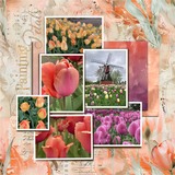 Grunge Chronicles Set 2