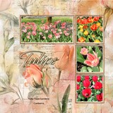 Grunge Chronicles Set 2