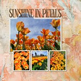 Grunge Chronicles Set 2