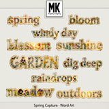 Spring Capture - Word Art