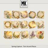 Spring Capture - Torn Accent Pieces