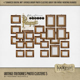 Vintage Memories Photo Clusters 5
