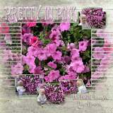 Artistic License Segmented