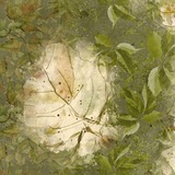 DesignMaster - Watercolor BlenderMania