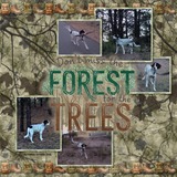 Here No More - The Collection