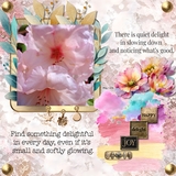 12 Volumes - Vol. 3 Bundle - Delightful